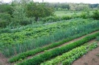 /album/tevekenyen-a-jovonkert-szoc-szov/vetemenyes-jpg/